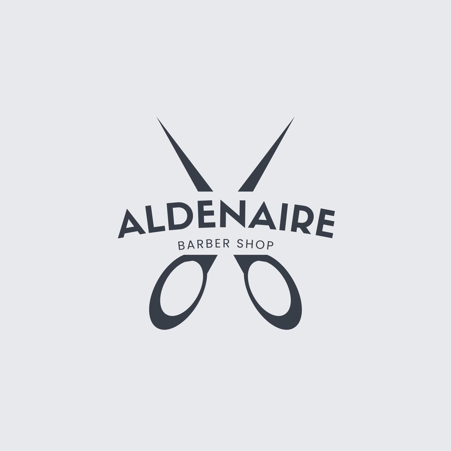 Logo and 500 Premium Business cards