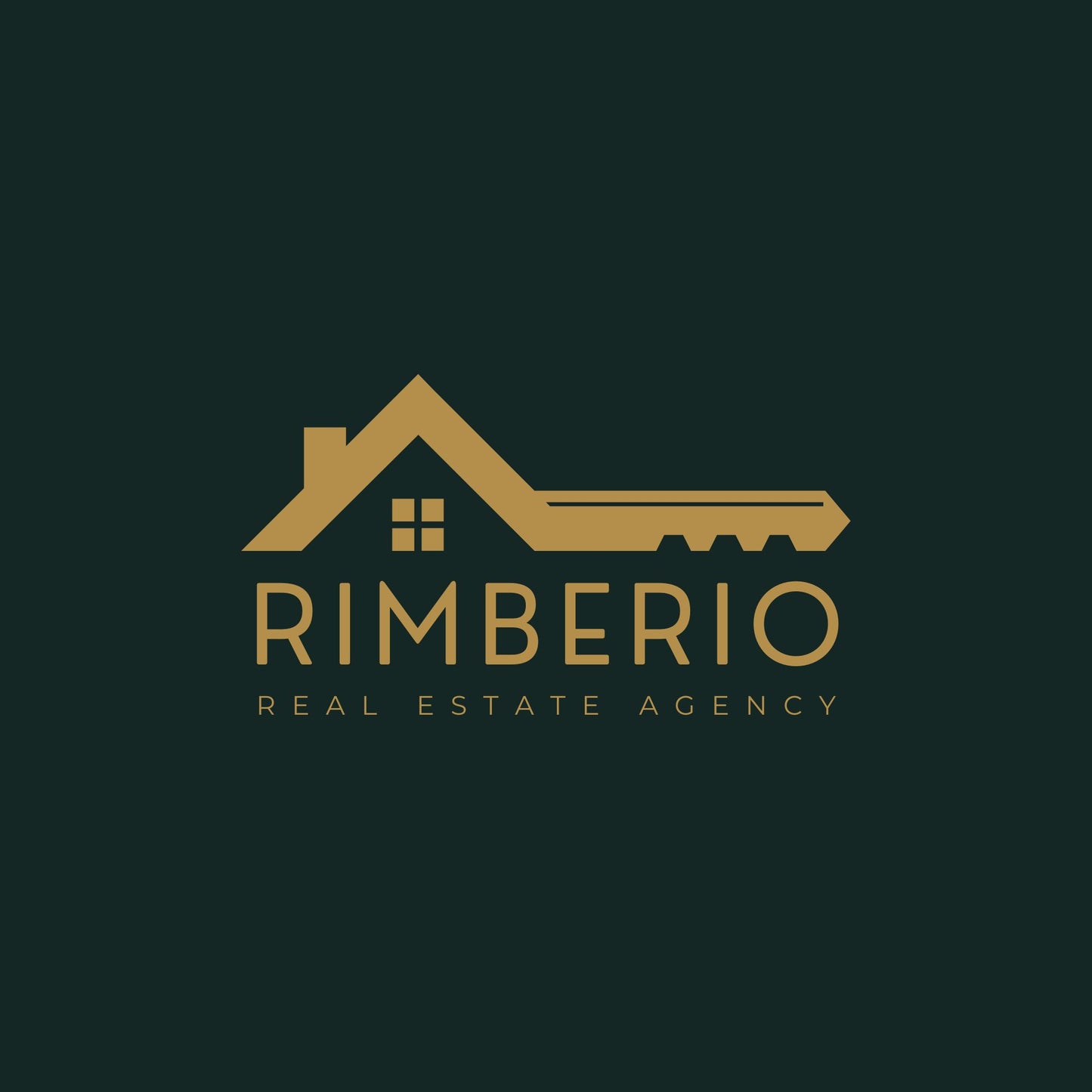 Logo and 500 Premium Business cards